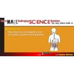 1476163895_560_10_Nailing_Science_-_Digestive_System.jpg